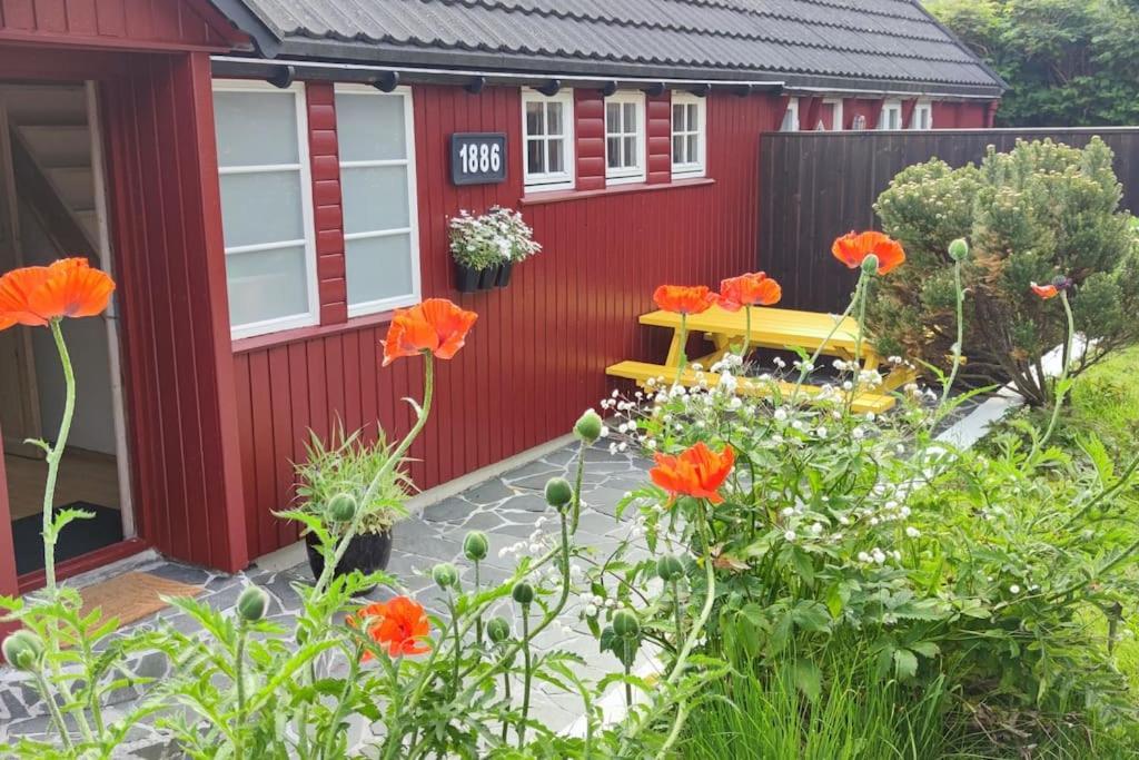 Cozy Cottage Klaksvík Zewnętrze zdjęcie